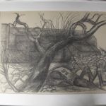 624 1007 LITOGRAPH (F)